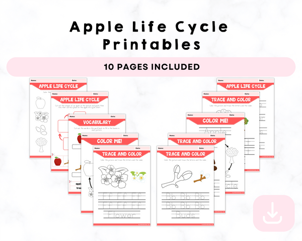 Apple Life Cycle Printables