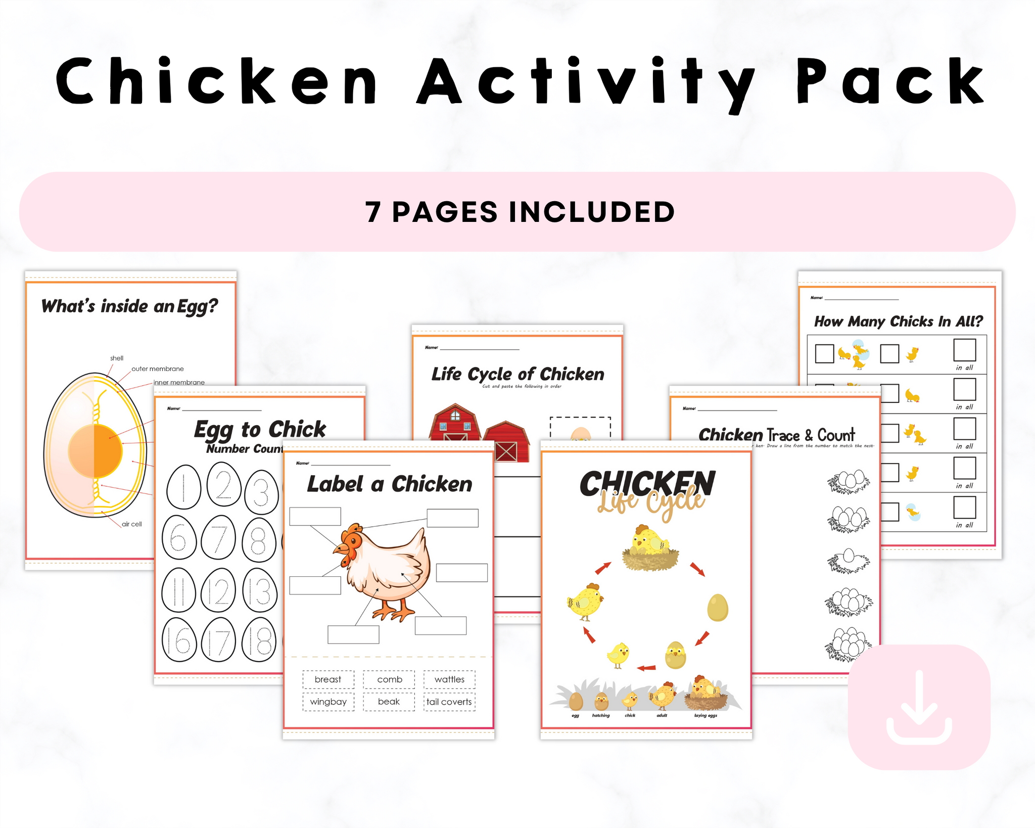 Chicken Activity Sheets