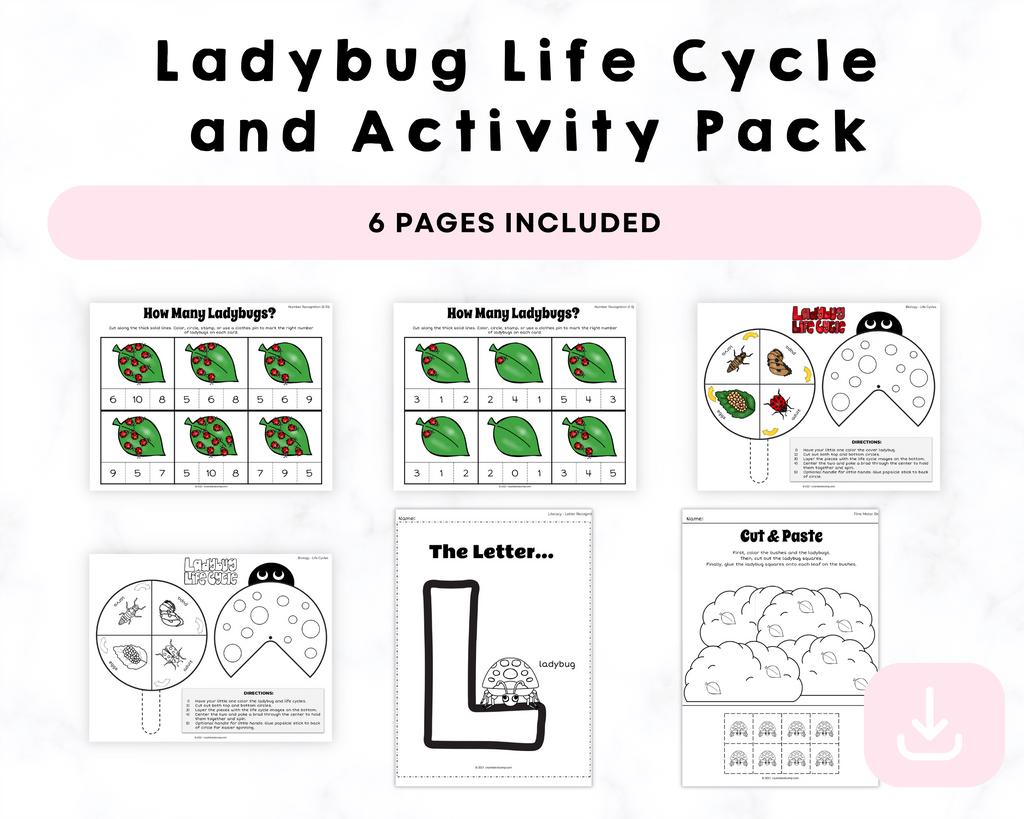 Ladybug Life Cycle and Activity Pack Printables