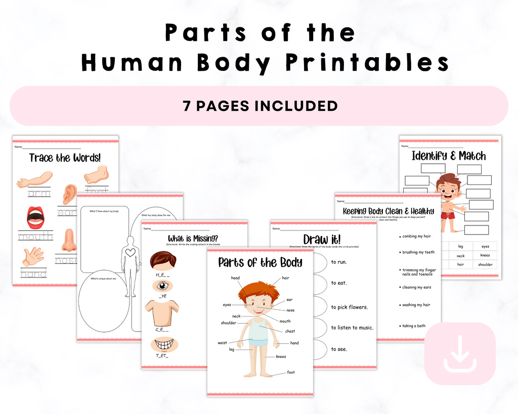 Parts of the Human Body Printables