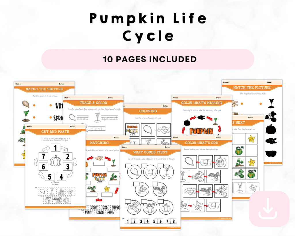 Printable Pumpkin Life Cycle