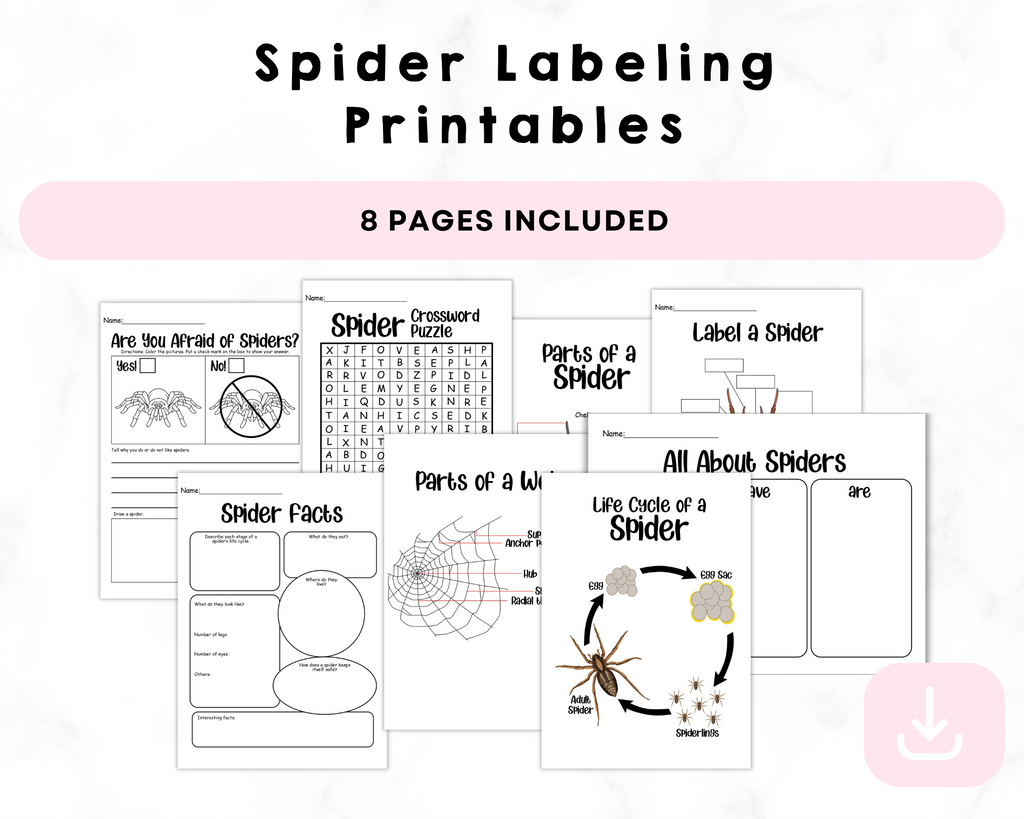 Spider Labeling Printables