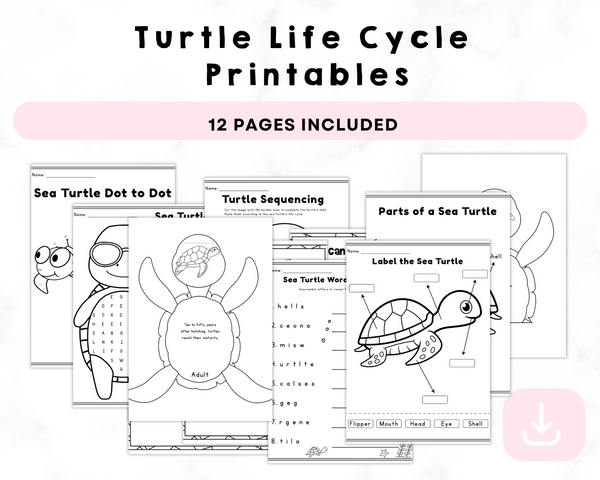 Turtle Life Cycle Printables